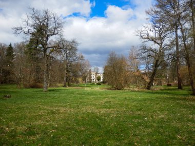 Sonbaharda yapraklarını kaybeden ormanların yanındaki yeşil alanlar