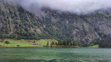 Alplerdeki göllerin yanındaki orman ve dağların manzarası