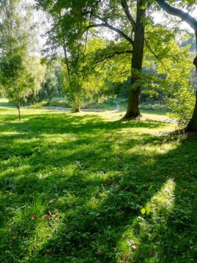 View of gardens with green grass for entertainment spaces