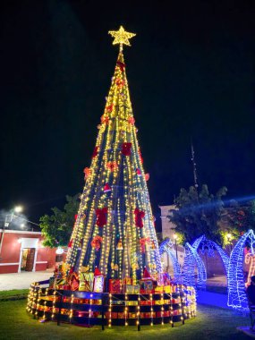LED ışıklarla dekore edilmiş parklardaki Noel ağacı süslemeleri
