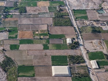 Genetiği değiştirilmiş ürünler üzerine araştırma yapmak için devasa tarım bakım evleri inşa ediliyor.