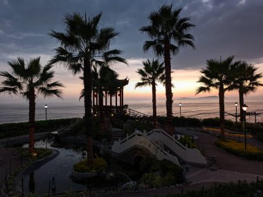 Gün batımında denize bakan şehir parkındaki palmiye ağaçlarının görüntüsü