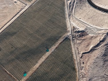 Genetiği değiştirilmiş ürünler üzerine araştırma yapmak için devasa tarım bakım evleri inşa ediliyor.