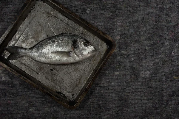 Raw dorado with salt — Stock Photo, Image