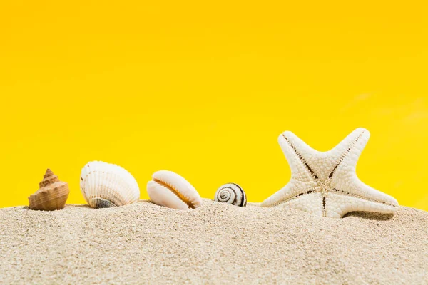 Sea shells and sea star on sand with yellow background with copy space — Stock Photo, Image