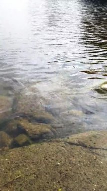 Güneşli bir günde güzel yağmur. Nehirdeki damlalardan görülebilir halkalar.