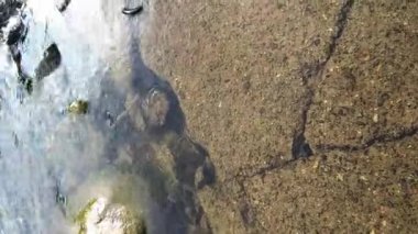 Güneşli bir günde güzel yağmur. Nehirdeki damlalardan görülebilir halkalar.