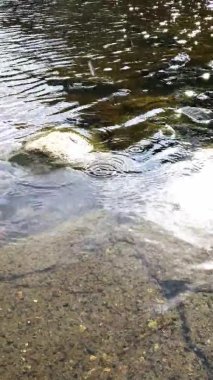 Güneşli bir günde güzel yağmur. Nehirdeki damlalardan görülebilir halkalar.