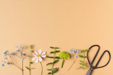 Bitki örtüsü için bej rengi makaslı, taze kesilmiş bahçe çiçekleri.