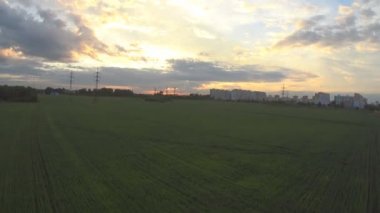 Çavdar bir alanın üzerine uçuş