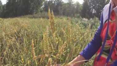 Kadın elinde buğday