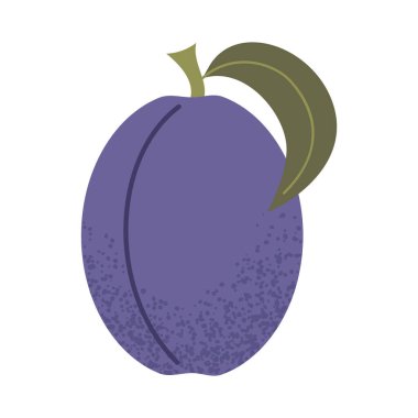 Basit erik çizimi. Taze erik meyvesi. Sağlıklı gıda konsepti. İç mekan, poster, kapak ve afiş için minimum düz vektör tasarımı. Beyaz arkaplanda izole.