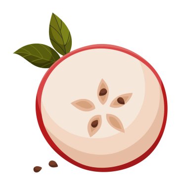 Yuvarlak kırmızı elma dilimi. Görünür tohum ve dokuya sahip taze sulu meyve parçaları, sağlıklı organik gıda konsepti, diyet ve beslenme malzemesi. Vektör illüstrasyonu beyaz arkaplanda izole edildi.