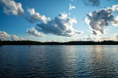 Nehirde su gezisi. Vahşi yaşam.