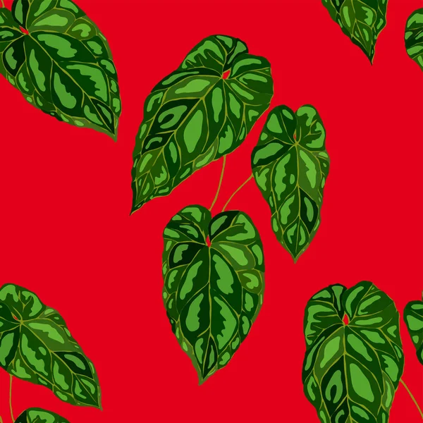 Bezešvé Vzory Tropickými Listy Ručně Kreslené Exotické Rostliny Letní Přírodní — Stockový vektor