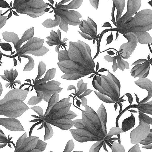 Υδατογραφία Αδιάλειπτη Μοτίβο Λουλούδια Μανόλια Όμορφο Floral Print Για Κάθε — Φωτογραφία Αρχείου