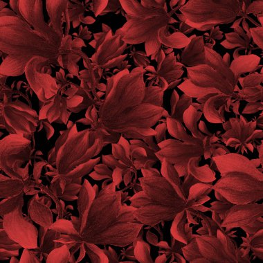 Manolya çiçekli sulu boya deseni. Herhangi bir amaç için güzel çiçek deseni. Bahar ya da yaz romantik geçmişi.