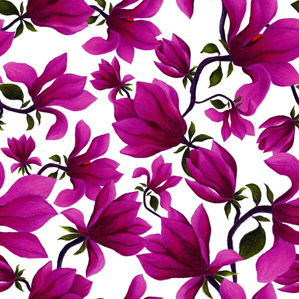 マグノリアの花と水彩シームレスパターン どんな目的のための美しい花のプリント 春または夏のロマンチックな背景 — ストック写真