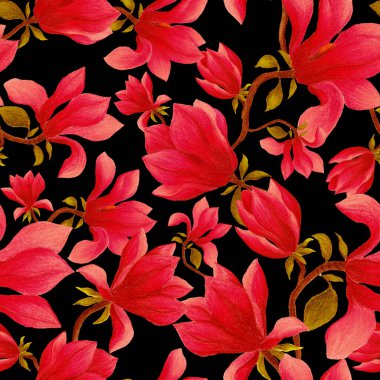 Manolya çiçekli sulu boya deseni. Herhangi bir amaç için güzel çiçek deseni. Bahar ya da yaz romantik geçmişi.