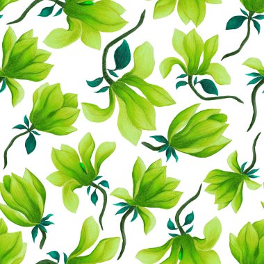 Manolya çiçekli sulu boya deseni. Herhangi bir amaç için güzel çiçek deseni. Bahar ya da yaz romantik geçmişi.