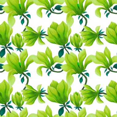 Manolya çiçekli sulu boya deseni. Herhangi bir amaç için güzel çiçek deseni. Bahar ya da yaz romantik geçmişi.