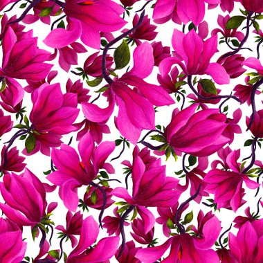 Manolya çiçekli sulu boya deseni. Herhangi bir amaç için güzel çiçek deseni. Bahar ya da yaz romantik geçmişi.