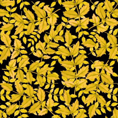 Vintage yapraklı suluboya desenli. Dekoratif tasarım için renkli yaprakları olan güzel bir botanik baskısı. Parlak bahar ya da yaz arkaplanı. Klasik düğün dekoru. Tekstil tasarımı.