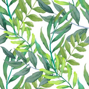 Vintage yapraklı suluboya desenli. Dekoratif tasarım için renkli yaprakları olan güzel bir botanik baskısı. Parlak bahar ya da yaz arkaplanı. Klasik düğün dekoru. Tekstil tasarımı.