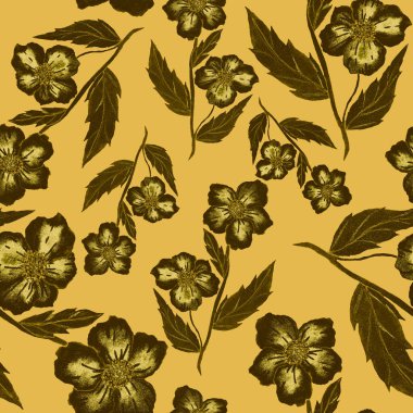 Çiçeklerle suluboya kusursuz desen. Klasik çiçek desenleri. Çiçeksiz desen. Botanik sanatı. Çiçek botanik koleksiyonu. Çiçek seti. Suluboya botanik tasarımı.