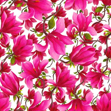 Manolya çiçekli sulu boya deseni. Herhangi bir amaç için güzel çiçek deseni. Bahar ya da yaz romantik geçmişi.