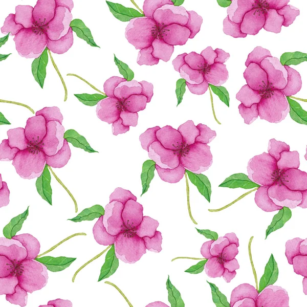 Watercolor Seamless Pattern Flowers Vintage Floral Pattern Flower Seamless Pattern — Stock Photo, Image