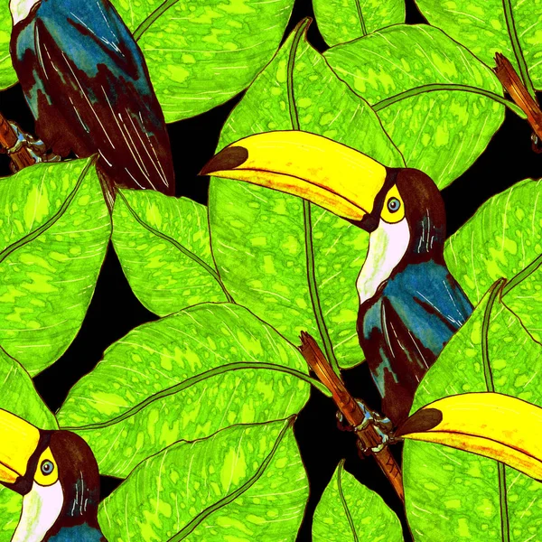 Акварельний Безшовний Візерунок Тунцем Екзотичні Ботанічні Шпалери Тропічним Птахом Листям — стокове фото