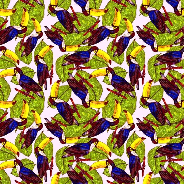 Aquarelle Motif Sans Couture Avec Toucan Fond Écran Botanique Jungle — Photo