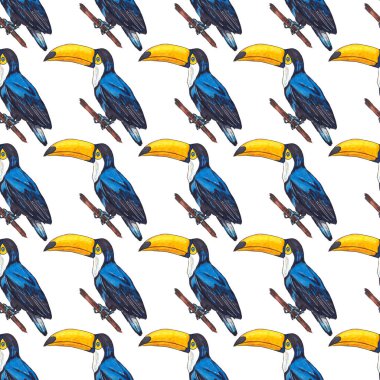 Tukanla dikişsiz suluboya desen. Tropik kuşlu ve yapraklı egzotik botanik orman duvar kağıdı. Parlak yaz şablonu geçmişi.