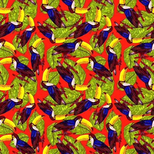 Aquarelle Motif Sans Couture Avec Toucan Fond Écran Botanique Jungle — Photo