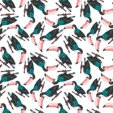 Tukanla dikişsiz suluboya desen. Tropik kuşlu ve yapraklı egzotik botanik orman duvar kağıdı. Parlak yaz şablonu geçmişi.