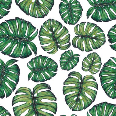 Tropikal yapraklarla suluboya kusursuz desen. Elle çizilmiş egzotik bitkilerle çok güzel bir iz. Mayo botanik tasarımı.