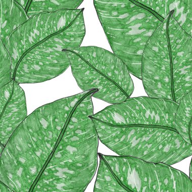 Tropikal yapraklarla suluboya kusursuz desen. Elle çizilmiş egzotik bitkilerle çok güzel bir iz. Mayo botanik tasarımı.