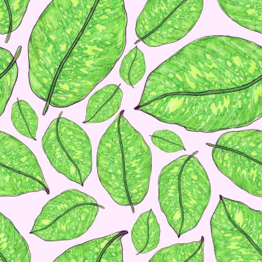 Tropikal yapraklarla suluboya kusursuz desen. Elle çizilmiş egzotik bitkilerle çok güzel bir iz. Mayo botanik tasarımı.