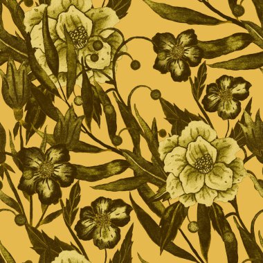 Çiçeklerle suluboya kusursuz desen. Klasik çiçek desenleri. Çiçeksiz desen. Botanik sanatı. Çiçek botanik koleksiyonu. Çiçek seti. Suluboya botanik tasarımı.