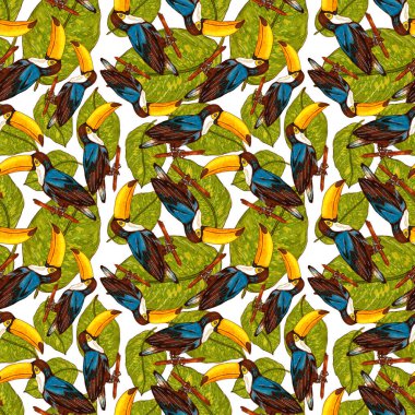 Tukanla dikişsiz suluboya desen. Tropik kuşlu ve yapraklı egzotik botanik orman duvar kağıdı. Parlak yaz şablonu geçmişi.