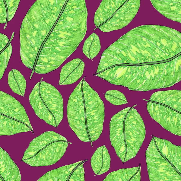 수채류가 아름다운 Allover 손으로 식물학적 설계를 — 스톡 사진