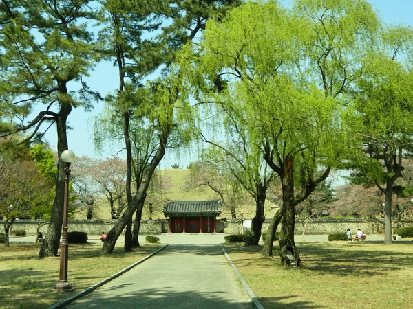 Puerta al parque de la ciudad de Gyeongju, Corea del Sur —  Fotos de Stock