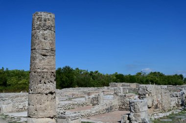 Binaların ve yeşil ağaçların kalıntıları arasında tek bir kolon.