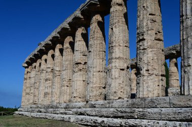 Sıraya dizilmiş antik taş sütunlar