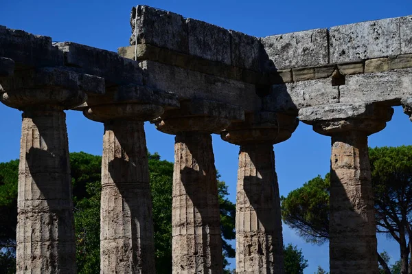 Arka planda gökyüzü olan gölgeli sütunlar ve ağaçlar