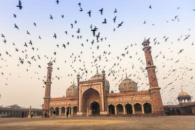 Jama Mescidi Eski Delhi, Hindistan Öğleden sonra namazı sırasında