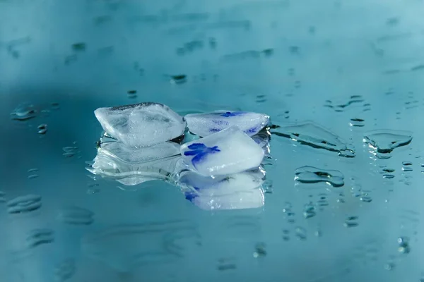 Picture for the interior. Photo for content. Pieces of ice on a  blue background