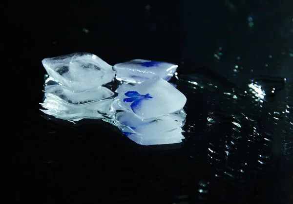 Picture for the interior. Photo for content. Pieces of ice on a dark background