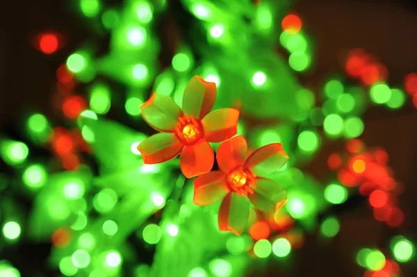A piros virágok elektromos karácsonyi girland — Stock Fotó